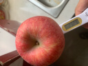 堡鲜生陕西洛川红富士苹果脆甜多汁时令新鲜孕妇水果生鲜苹果整箱 80-85mm带箱10斤（净重8.8斤） 实拍图