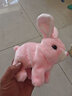亦趣电动兔子小白兔毛绒玩具会跑会叫好玩女孩3岁儿童生日礼物 小兔子(粉) 实拍图