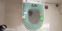 科缦 四季拉链式马桶坐垫通用坐便套家用防水马桶圈垫座便套大马桶垫 常规通用-绿色小鹿-拉链款 实拍图