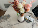 凉笙 轻奢地中海简美桌面陶瓷花瓶白色仿真花艺尤加利桉树叶绣球假花套装软装茶几餐桌电视柜摆件 粉色花束+白色绑绳花瓶(套装) 实拍图