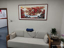 悠弦国画山水画办公室挂画沙发背景墙客厅装饰画水墨字画靠山图风景画 鸿运当头 画框163*83厘米 实拍图
