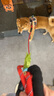 猫姐汪弟 狗绳子大型犬牵引绳反光牵引带加长2米中型犬遛狗绳狗链拴狗绳 红色2米牵引绳 实拍图