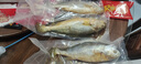 御泸鲜湘【顺丰发货】精选特大黄花鱼新鲜深海大黄鱼宁德黄花鱼1-2斤1条 3斤装【3条】家庭款 实拍图