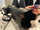 尼康（Nikon）尼克尔 Z 70-200mm f/2.8 VR S 全画幅微单镜头 “大三元”远摄变焦镜头 人像/运动/旅游 晒单实拍图