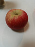 京鲜生 陕西洛川苹果红富士  净重5斤  单果200g+ 生鲜水果 实拍图