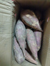 小博生鲜 四川西瓜红薯当季新鲜红薯软糯香甜蜜薯番薯地瓜沙地板栗蔬菜 西瓜红薯净重5斤装 实拍图