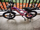 凤凰儿童山地自行车5-8-12-18岁青少年男女孩碟刹减震变速18寸粉色 实拍图