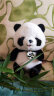 蓝诗诺仿真熊猫公仔毛绒玩具布娃娃玩偶国宝贝贝熊猫抱枕孩子女生礼物 熊猫贝贝 24厘米 晒单实拍图