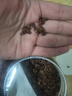 比比妙山核桃仁碎仁新货小核桃碎肉坚果零食烘焙用 500g1罐【罐装防潮易保存】 实拍图