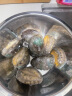 海鲜世家 福建冷冻大鲍鱼360g 8粒 火锅 烧烤食材 生鲜 贝类 实拍图