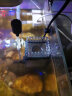 森森油膜处理器鱼缸过滤泵水族箱增氧泵氧气泵加氧泵除油膜器JY-02-03抽水过滤三合一 JY-03+替换棉10次用量 实拍图