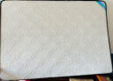 雅戈兰罗 (央视展播) 椰棕床垫硬棕垫薄榻榻米棕榈席梦思乳胶1.5米x床垫子 高密度3e棕总厚度5厘米（直板） 1.35米*1.9米 实拍图