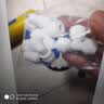 灏钻 椰壳颗粒 后置活性炭滤芯净水器滤芯10寸通用T33一体快接 麦饭滤芯 实拍图