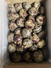 GANXIAN广西桂林荔浦新鲜马蹄【顺丰速运】农家现挖自种荸荠脆甜火锅材料 5斤 大果 实拍图