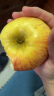 农夫山泉17.5°苹果 阿克苏苹果 XJ果径97±4mm 11个装 水果礼盒 实拍图