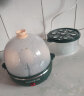 九阳（Joyoung）煮蛋器家用小型自动断电防干烧蒸蛋神器 ZD14-GE140 实拍图