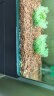 派乐特鱼缸溪流石底砂造景底沙子水草装饰雨林铺底石头子缸生态5斤 实拍图