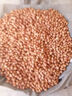 守山翁生花生米 农家白沙花生米 当季大粒白花生仁 250g-2500g 500g精选装花生米 实拍图