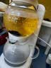 鸣盏养生壶闷茶电烧水壶玻璃花茶壶即热茶台一体机办公茶具套装泡茶器 0.5L /MZ-1151 实拍图