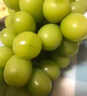 隆千采云南阳光玫瑰葡萄青提无籽香印提子 新鲜水果中秋节水果礼盒装 5斤单果10-12g礼盒装净重4.5斤起 实拍图