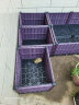 原起点阳台楼顶种菜箱长方形蔬菜种植箱神器种菜盆菜箱塑料花箱户外 加深1联箱 50*40*36cm 实拍图