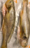 三都港冷冻醇香黄鱼鲞500g 黄花鱼 海鲜水产 生鲜鱼类 海鱼 烧烤食材 实拍图