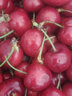 千朵云智利进口美早大樱桃 空运车厘子孕妇水果礼盒装 1000g(净重) 3J 新鲜直发 送货上门 实拍图