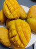顾果鲜海南小台芒9斤新鲜应季当季热带时令水果小台农芒果整箱甜心芒 3斤净重2.8斤 【大果】 实拍图