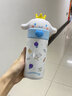 HELLO KITTY520礼物送礼三丽鸥儿童316不锈钢保温杯公仔联名杯子高颜值水杯 玉桂狗350ml【316不锈钢内胆】 实拍图