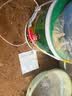 沃特浦聚氨酯防水涂料屋顶补漏楼顶裂缝渗水专用外墙防水胶耐高温抗冻 实拍图