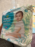 帮宝适（Pampers）清新帮 成长裤 拉拉裤 学步裤 小内裤裤型尿不湿 加加加大号XXXL64片 实拍图