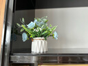九千谷假花仿真花蓝色玫瑰 盆栽办公室假绿植客厅装饰品小摆件3469 实拍图