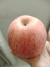 堡鲜生陕西洛川红富士苹果脆甜多汁时令新鲜孕妇水果生鲜苹果整箱 90-95mm带箱10斤 (净重8.8斤) 实拍图