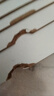 索友（CVOY） 衣柜欧式平开门衣柜卧室组装衣橱实木质大简易储物衣橱 【五门】200cm单主柜 免漆板材 实拍图