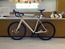 瑞豹 SUPER AL公路车 22速变速碟刹 铝合金舒适耐力型 奶咖色【蓝图R9套件 免安装】 XL码（建议身高185-195cm） 实拍图