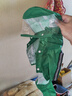 CHU XING JIA 狗狗雨衣全包卡通防水四脚幼犬秋冬宠物衣服泰迪透明雨衣宠物 绿色恐龙M（胸围47cm背长33cm） 实拍图