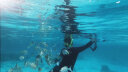 WATERTIME/水川 潜水镜面罩浮潜装备成人全干式呼吸管套装浮潜三宝 实拍图