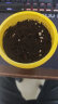 史丹利营养土3L包装园艺有机土通用型种花种菜养花专用土壤种植土 晒单实拍图