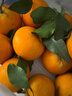 京地达四川爱媛38号果冻橙净重8斤大果15-18粒柑橘桔子水果源头直发 实拍图