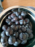 云南夏黑葡萄新鲜2024应当季无籽葡萄黑加仑提子孕妇水果整箱 5斤(单果10g+) 实拍图
