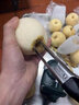 拜杰多功能削苹果机削苹果神器水果削皮器手摇式自动削皮刀水果分切器 【三代升级款】墨绿削皮机 实拍图