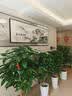 墨派 新中式客厅装饰画沙发背景墙壁画现代简约大气横幅山水叠加画 家和万事兴 A款 大幅240*80+小幅180*60晶瓷 实拍图