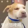 LaCena 乐且娜韩国进口木铲鸡翅木锅铲饭铲煎木勺汤勺无漆无蜡铲勺套装 鸡翅木锅铲大号 实拍图
