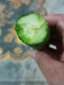莺栖山东水果黄瓜5斤新鲜生吃清脆嫩爽口现摘无刺小黄瓜果蔬菜小青瓜 水果黄瓜 带箱3斤净重2.5斤 晒单实拍图