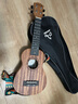 奥德斯克（AODSK）AUS-P06尤克里里乌克丽丽男女学生儿童入门21英寸小吉他原木色 实拍图