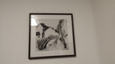 紫腾随轩吴冠中水墨画新中式现代客厅装饰画餐厅饭厅挂画卧室壁画中国风 图7 60*60cm红木色实木框 实拍图