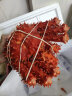 品鲜门 帝王蟹4.4~2.4斤礼盒装 大螃蟹腿蟹脚蟹类生鲜 进口海鲜 帝王蟹4.4-4斤 晒单实拍图