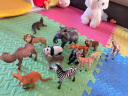 弥鹿（MiDeer）15只动物礼盒儿童仿真玩具模型早教套装宝宝野生动物园六一节礼物 【新品】动物15只大礼盒 晒单实拍图
