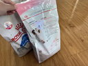 皇家幼猫猫粮 幼猫奶糕 K36 通用粮 4-12月 2KG 实拍图