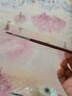 樱花(SAKURA)马毛画笔 水粉油画笔丙烯长杆美术颜料刷初学者水彩笔圆头0号美术写生 实拍图
